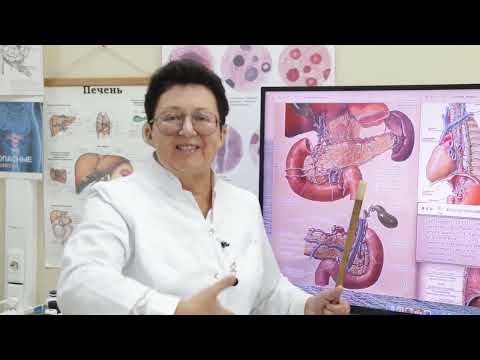 Видео: Предвестники панкреатита, как его избежать и восстановить поджелудочную железу? [Шишова О.И.]