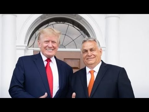 Видео: ПЕРВЫЕ БЕНЕФИЦИАРЫ ПОБЕДЫ ТРАМПА: МАСК И ОРБАН