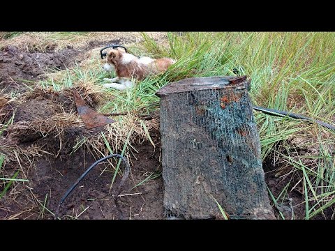 Видео: Яма мощь. Опять он! Гаражное железо лежит друг на друге слоями