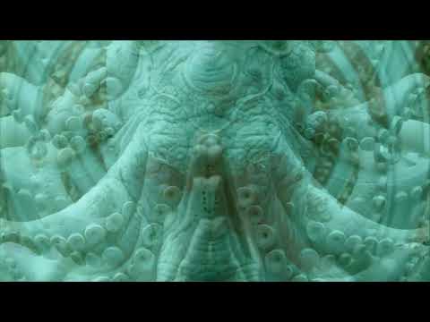 Видео: Северный ветер. Оргия Праведников