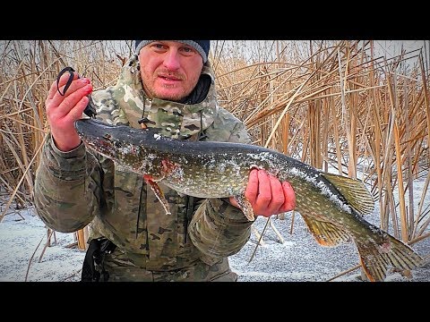Видео: Проверка ЖЕРЛИЦ после ночи. ОСТАВИЛ ЖЕРЛИЦЫ НА НОЧЬ! Зимняя рыбалка на щуку.