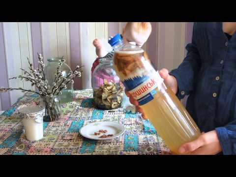Видео: Как приготовить БЕРЕЗОВЫЙ КВАС Очень просто