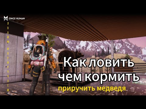 Видео: once human приручение животных !крупное обновление