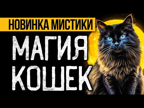 Видео: Эта ДУШЕВНАЯ МИСТИЧЕСКАЯ История Тебе Точно Понравится! Рассказы СЛУШАТЬ БЕСПЛАТНО Альбина НУРИ.
