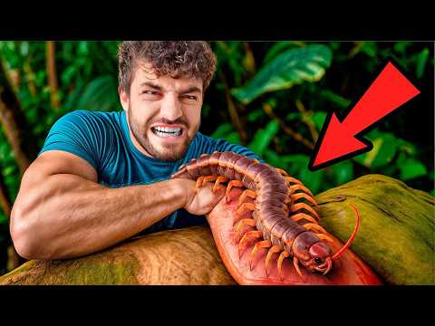 Видео: Укус ГИГАНТСКОГО многоножки! Худшие укусы #3