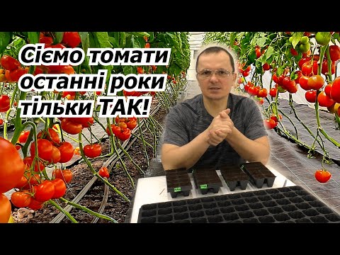 Видео: Сіємо томати на розсаду в касеті. Спосіб посіву томатів, який не підведе!