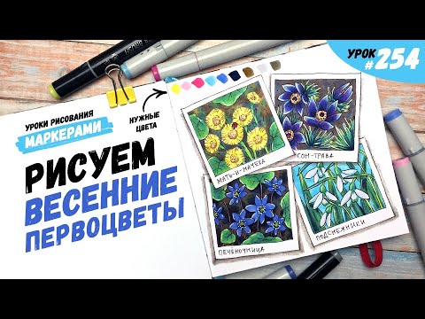 Видео: Как нарисовать весенние первоцветы? / Видео-урок по рисованию маркерами #254