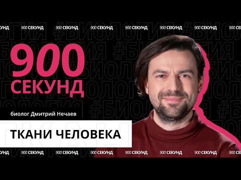 Видео: Какие бывают виды тканей человека? Узнай за 900 секунд