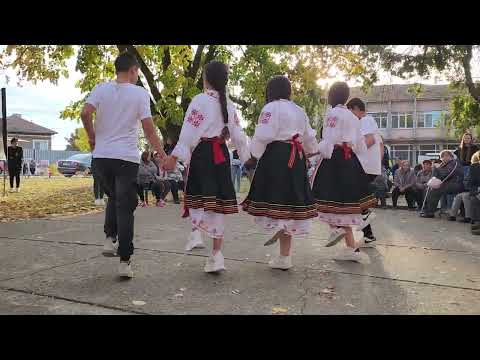 Видео: Събор с.Малко Враново 02.11.24 г.