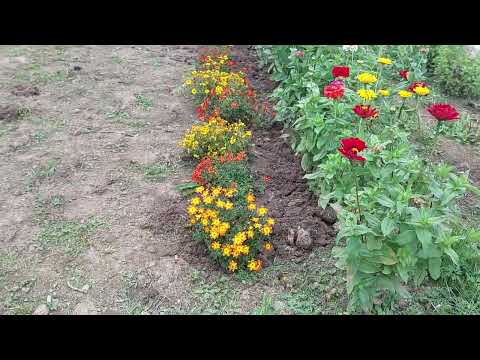 Видео: Наши 8,4 сотки🏡А я продолжаю доделывать начатое... 🌸