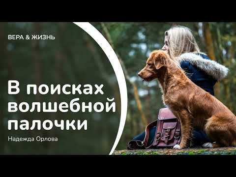 Видео: В поисках волшебной палочки // Надежда Орлова (Жизнь и Общество)