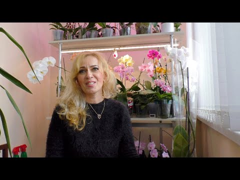 Видео: Новая ОРХИДЕЯ! ПРОЙТИ МИМО БЫЛО НЕЛЬЗЯ! Что дальше... Вариантов много, выбираем правильный!