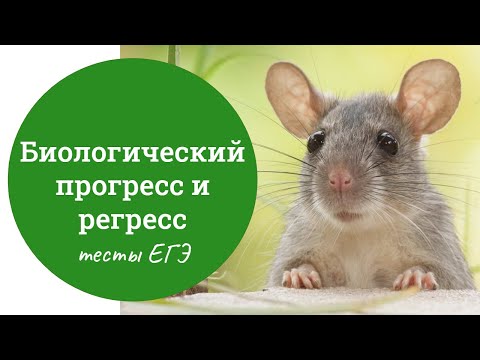 Видео: Биологический прогресс и биологический регресс - разбор тестов ЕГЭ по биологии