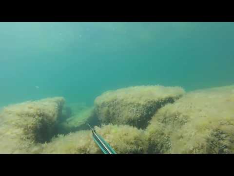 Видео: 36км. 17.08.2018г. Подводная охота. Кефаль. Каспийское море Актау.