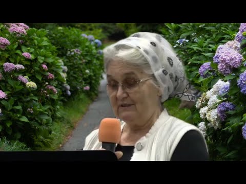 Видео: МОЛИТВА МАТЕРИ ● Стих