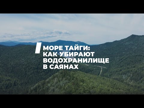 Видео: Саяно-Шушенское водохранилище очищают от древесного хлама