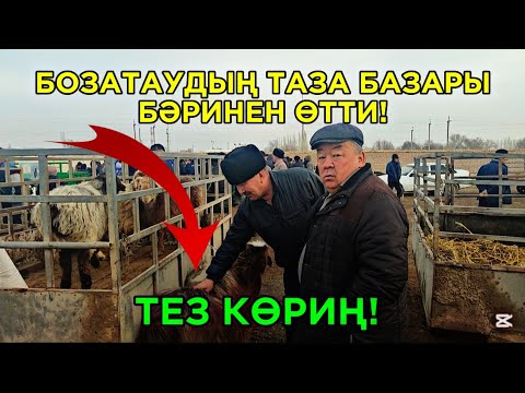 Видео: 21-ФЕВРАЛ БОЗАТАУ МАЛ БАЗАРЫ ЖАҢАЛЫҚ!ТАЗА БАЗАР АШЫЛДЫ КӨРЕМИЗ АЛ