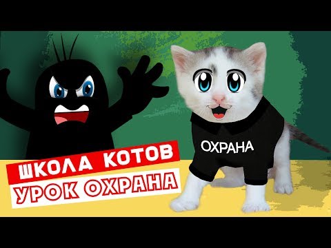 Видео: ШКОЛА КОТОВ : НОВЫЙ УРОК! КОШЕЧКА МУРКА и КОТ МАЛЫШ 1 ДЕНЬ В ШКОЛЕ! УЧИТЕЛЬНИЦА РЫЖУЛЯ УЧИТ КОТЯТ