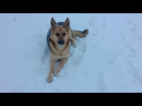 Видео: Уборка снега мотоблоком.