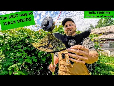 Видео: Лучший триммер STIHL Weed Eater с насадкой-леской против Polycut и металлических лезвий — это нас...