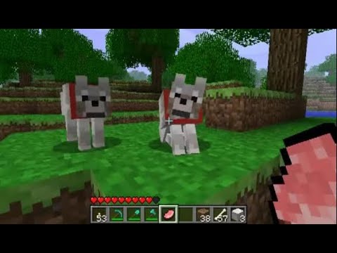 Видео: маинкрафт с папищеками а потом я с пать