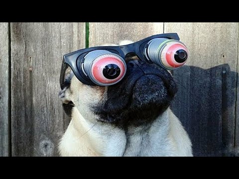 Видео: ТЕСТ НА ПСИХИКУ, КТО ЗАСМЕЁТСЯ ИЛИ УЛЫБНЕТСЯ - лайк и подписка!