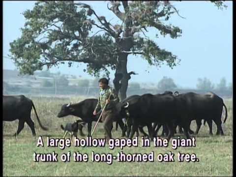 Видео: Светът и всичко в него със СИМЕОН ИДАКИЕВ (03.03.2014г. 2-ра част)