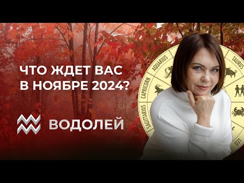 Видео: Ноябрь 2024 для Водолеев: Карьера, Партнерство и Личностная Трансформация!