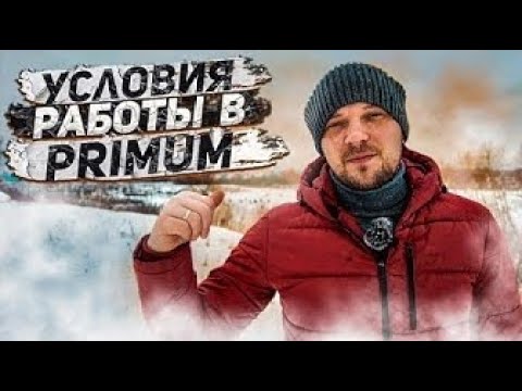 Видео: СО СТАРОГО КАНАЛА. Дальнобой. Условия работы в PRIMUM.  Зарплата в PRIMUM.  Стоит ли идти новичку ?