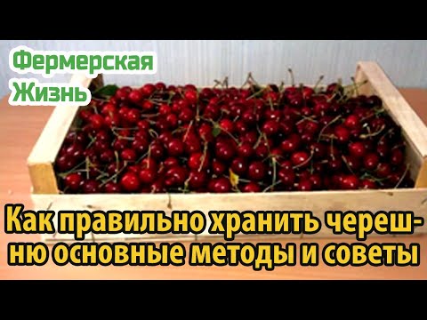 Видео: Как правильно хранить черешню – основные методы и советы