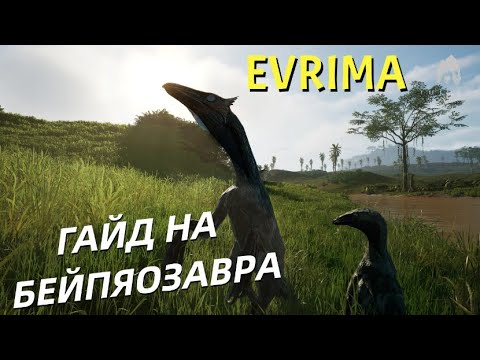 Видео: THE ISLE EVRIMA. БЕЙПЯОЗАВР. ГАЙД! #theisleevrima
