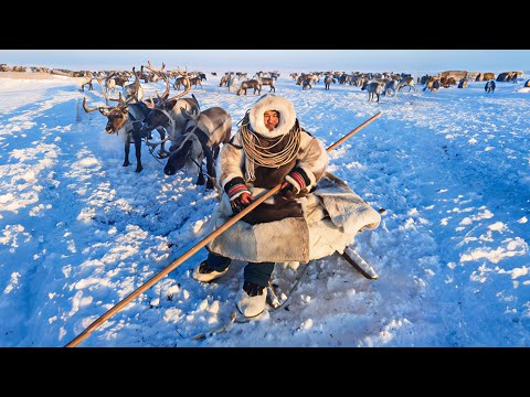 Видео: Афанасий Тэсида – блогер из народа. Часть 2 | Ясавэй. Кочевник ХХI века
