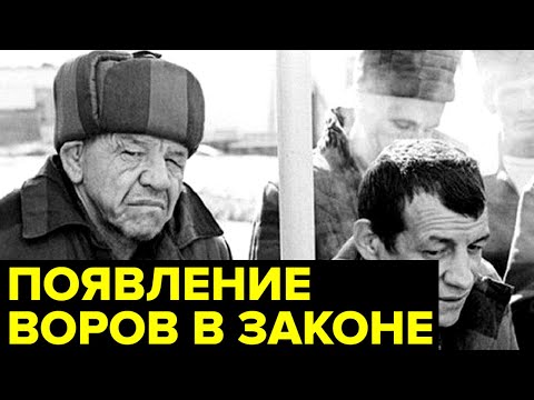 Видео: Зарождение ВОРОВСКИХ традиций. История появления ВОРОВ в законе