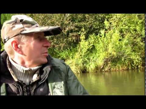 Видео: Рыбалка в Красноярском крае - река Кемчуг