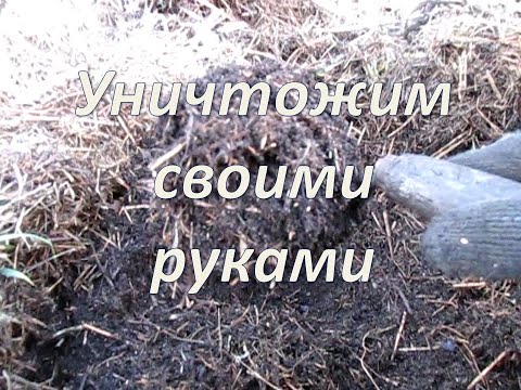 Видео: Как уничтожить чернозём!