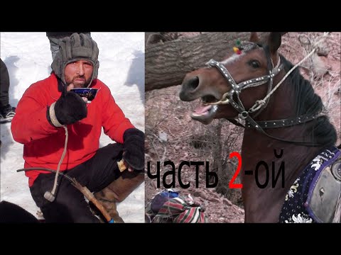 Видео: БУЗКАШӢ САБЗИХАРФ ҚИСМИ 2. ҚИСМИ СЕЮМАШРО ИНТИЗОР БОШЕД...