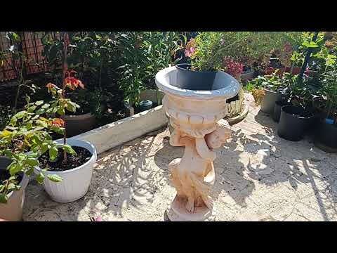 Видео: 14 сентября 2025 г. Цветы в...КОЛЕСАХ 👍😄🌹🌹🌹У нас для цветов нет во дворе земли.