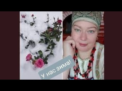 Видео: Пришла зима.❄ Птицы видят первый раз снег.🦢🐓Простой обед в печке.🔥