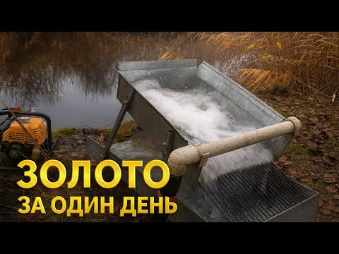 Видео: ЗОЛОТО ДРАГОЙ ЗА ОДИН ДЕНЬ