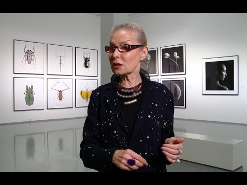 Видео: Ольга Свиблова о том, что такое искусство и как распознать шедевр