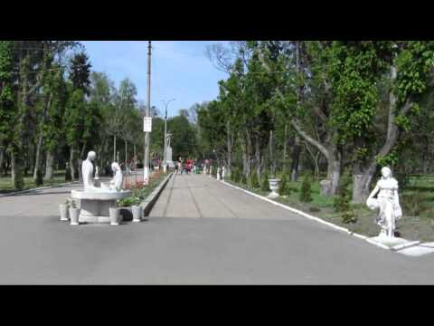 Видео: мой город   Смела