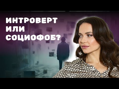Видео: 5 отличий социофоба от интроверта: кто же ты на самом деле?
