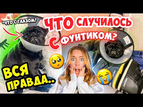 Видео: СРОЧНО ЕДЕМ К ВЕТЕРИНАРУ 😭ЧТО СЛУЧИЛОСЬ С ФУНТИКОМ👉ВСЯ ПРАВДА!🥺