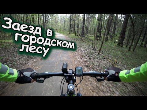 Видео: СТАДИОН ЛОКОМОТИВ ➡ ЧЕРНЯЕВСКИЙ ЛЕС (БАЛАТОВСКИЙ ПАРК) / ПОКАТУШКА ПО ГОРОДУ И В ЛЕСУ НА ВЕЛОСИПЕДЕ