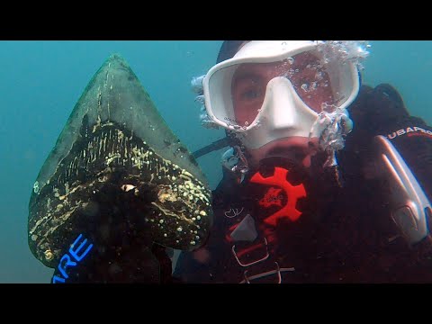 Видео: Это наше самое редкое открытие 2021 года!?!? (И НЕТ, ЭТО НЕ ЗУБ МЕГАЛОДОНА)