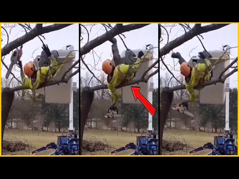 Видео: Ветка дерева спасла его от ОПАСНОГО падения || 30 ужасных случаев на деревьях