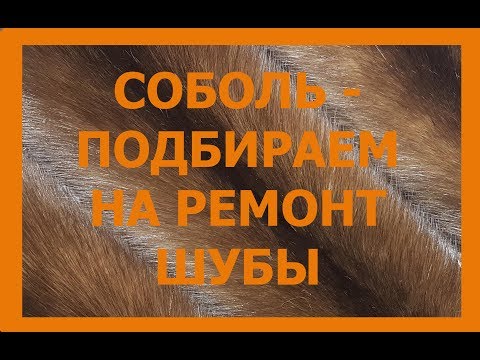 Видео: Шкурки соболя - подбираем на реставрацию шубы