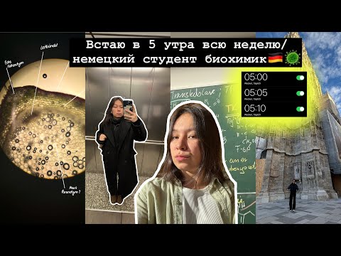 Видео: Встаю в 5 утра всю неделю/ студент биохимик в Германии🇩🇪, учеба в ТУМе