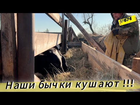 Видео: Как мы живём в Сибири каждый день. Жизнь и будни в Омской деревне.