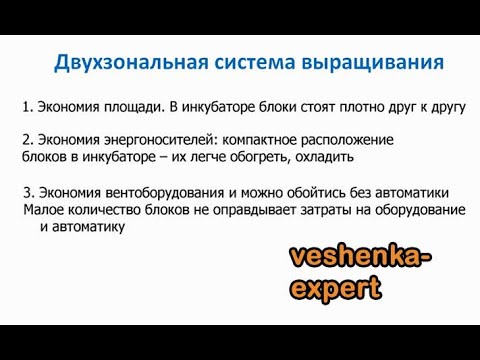 Видео: Двухзональная технология выращивания вешенки - недостатки и преимущества.